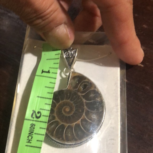 Ammonite Fossil Pendant - Picture 4 of 4